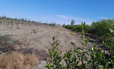 En Venta hermosa Finca de 3 Hectáreras con Casa en Cañada Seca, San Rafael, Mza