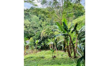 VENTA CASA CAMPESTRE VEREDA EL JAZMN SANTA ROSA DE CABAL