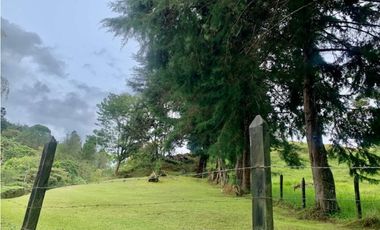 Finca en venta en El Retiro Vereda San Rafael