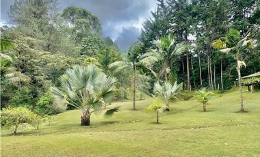 Finca en venta en El Retiro Vereda San Rafael