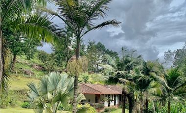 Finca en venta en El Retiro Vereda San Rafael
