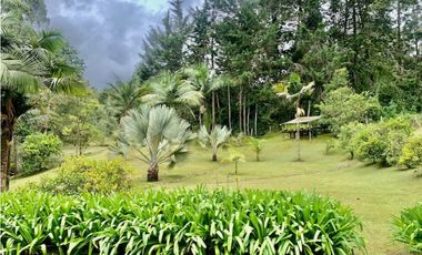 Finca en venta en El Retiro Vereda San Rafael