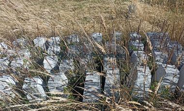 Parcela en Venta en PARCELA CON CASA /HERMOSA VISTA / A 15 MINUTOS DE FRUTILLAR .