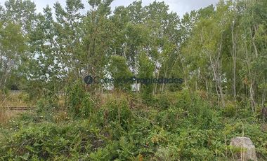 Parcela en Venta en PARCELA CON CASA /HERMOSA VISTA / A 15 MINUTOS DE FRUTILLAR .