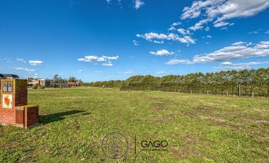 Terreno - Mar Del Plata