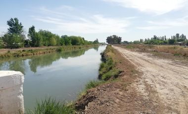 Chacra en Blanco - Venta - Mainque - R003