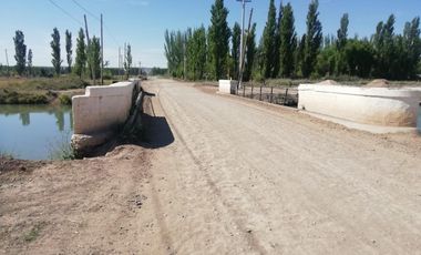 Chacra en Blanco - Venta - Mainque - R003