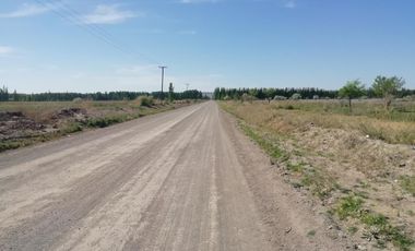 Chacra en Blanco - Venta - Mainque - R003