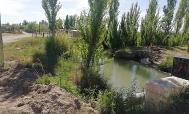 Chacra en Blanco - Venta - Mainque - R003