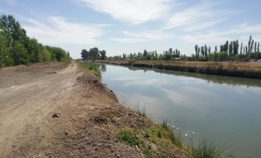 Chacra en Blanco - Venta - Mainque - R003