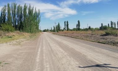 Chacra en Blanco - Venta - Mainque - R003