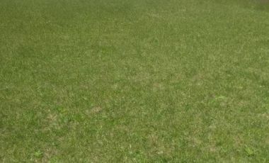 Terreno en venta - 15 x 37mts - 405mts2 - Camet