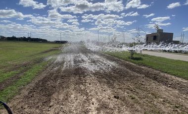 Terreno 350m2 - EcoTierra - Pueblo Esther - Distrito Cero
