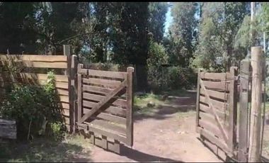 VENTA | LOTE | BOSQUE PERALTA RAMOS