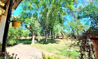 Campo - Carcaraña
