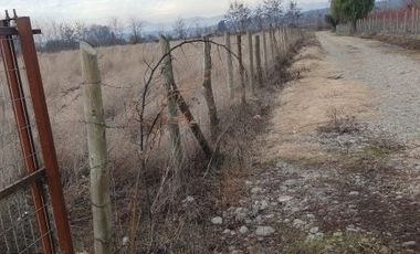 Terreno de 7.500 m2, produciendo Espárragos, Parral