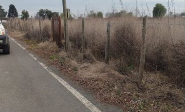 Terreno de 7.500 m2, produciendo Espárragos, Parral