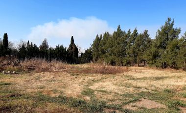 Venta Campo Ideal Inversión - Fighiera