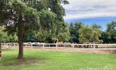 Casa 5 ambientes con pileta y jardín - Zarate - ALQUILER
