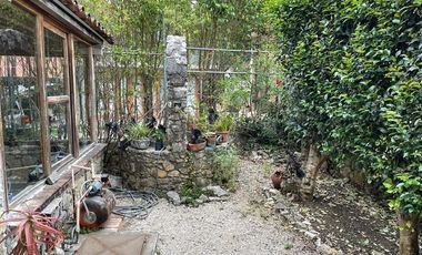 Venta Casa , San Cristóbal de las Casas