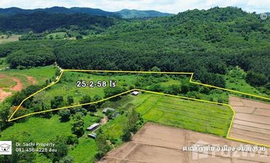 Land for sale in Mae Khao Tom, Chiang Rai