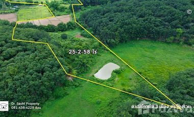 Land for sale in Mae Khao Tom, Chiang Rai