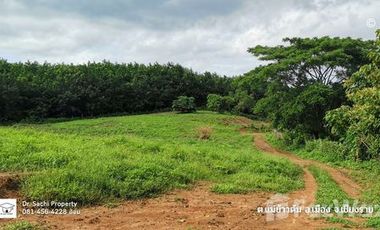Land for sale in Mae Khao Tom, Chiang Rai