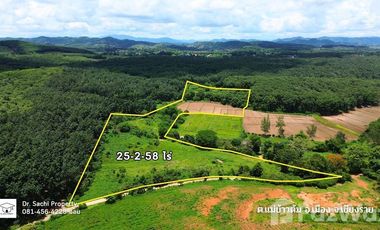 Land for sale in Mae Khao Tom, Chiang Rai