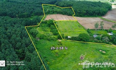 Land for sale in Mae Khao Tom, Chiang Rai