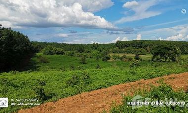 Land for sale in Mae Khao Tom, Chiang Rai