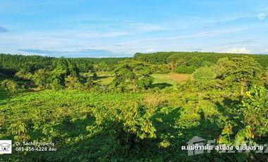 Land for sale in Mae Khao Tom, Chiang Rai