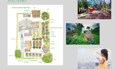 Land for sale in Bang Len, Nakhon Pathom
