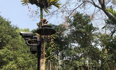 8 Bedroom House for sale in Tha Chang, Nakhon Nayok