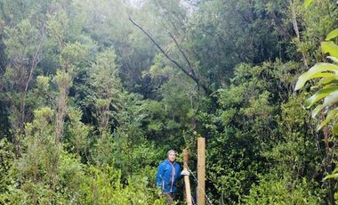 Parcela en Venta en Camino a Cucao Km.15, Huillinco rural, comuna de Chonchi