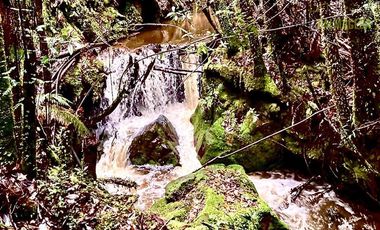 Parcela en Venta en Camino a Cucao Km.15, Huillinco rural, comuna de Chonchi