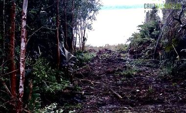 Parcela en Venta en Camino a Cucao Km.15, Huillinco rural, comuna de Chonchi