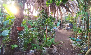 Casa en venta, un dormitorio, cochera y patio Punta Lara