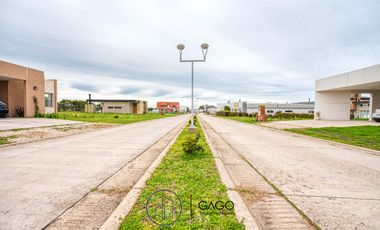 Casa venta 4 ambientes a estrenar - Mar Del Plata