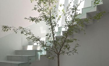 Casa 172 en Venta, Paraje Casas de Autor, San Agustín, Tlajomulco de Zuñiga