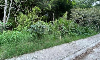 Terreno habitacional en venta en El Telefre, Emiliano Zapata, Veracruz