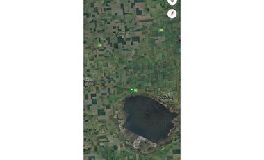 Campo en venta • 23 Hectáreas • Melincue • Santa Fe