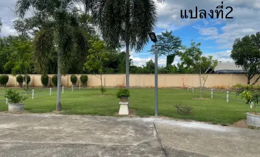 Land for sale in , Chiang Mai