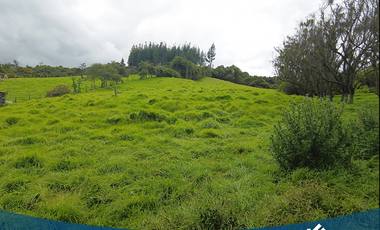 Vendo Lote 9.000mts en Tabio Río Frío Oriental