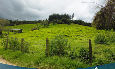 Vendo Lote 9.000mts en Tabio Río Frío Oriental