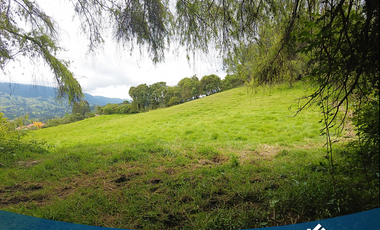 Vendo Lote 9.000mts en Tabio Río Frío Oriental