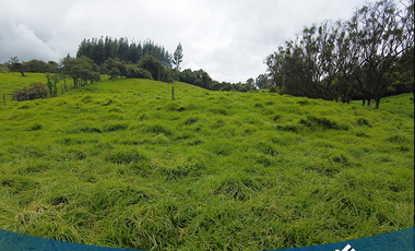 Vendo Lote 9.000mts en Tabio Río Frío Oriental