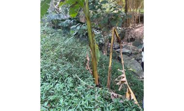 Venta casa Finca, Robledo La Pola, Medellin, Antioquia