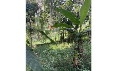 Venta casa Finca, Robledo La Pola, Medellin, Antioquia