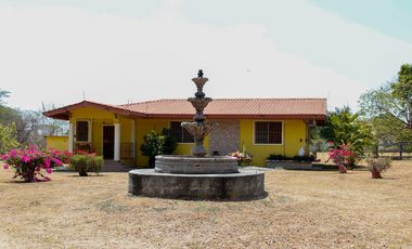 PENONOME / RIO GRANDE / 2000 M2 / CASA CAMPESTRE / AMOBLADA
