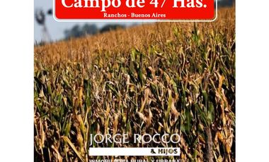 Campo en venta en Ranchos. 47 Has. mixtas